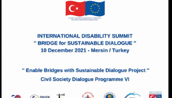 CSD-VI 298 International Disability Summit
